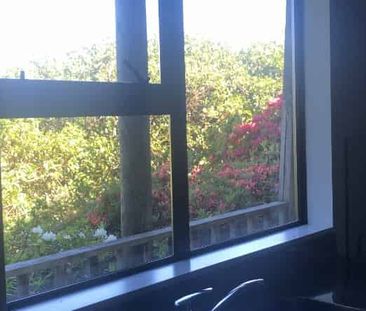 Affordable Studio Living in a Prime Masterton Location! - Photo 2