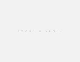 Appartement à louer 1 pièces de 20,25 m² à Nogent-sur-Marne - Photo 1