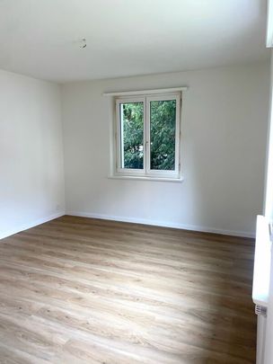 4-Zimmer-Wohnung an ruhiger Lage - Photo 1