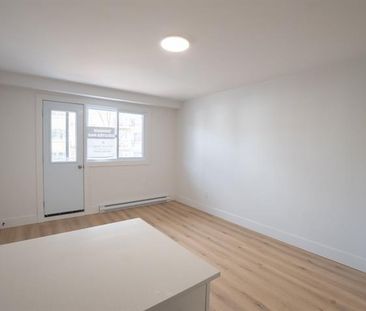 3915 Rue Masson - Photo 3