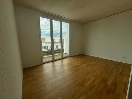 LE TICLE : Appartements neufs à louer - Photo 5