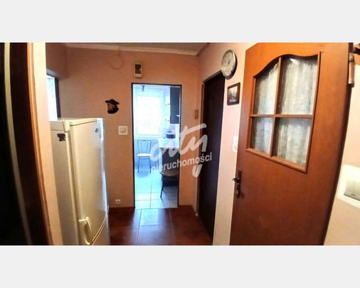 Gryfino - Фото 1