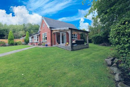 3 bedroom detached bungalow to rent - Photo 4