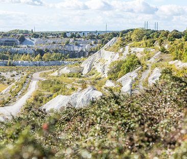 Högatan, Limhamn - Photo 5