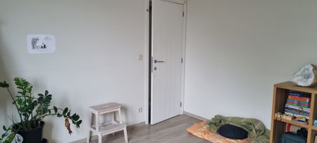 Mooie ruime kamer te huur (eind maart tot eind juli) - Photo 4