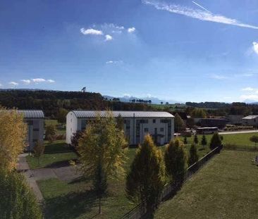 3.5 Zimmer, 77 m², 2. Stock - Foto 1