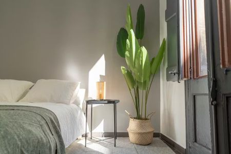 Carrer de Ferran, Barcelona, Catalonia 08002 - Photo 5