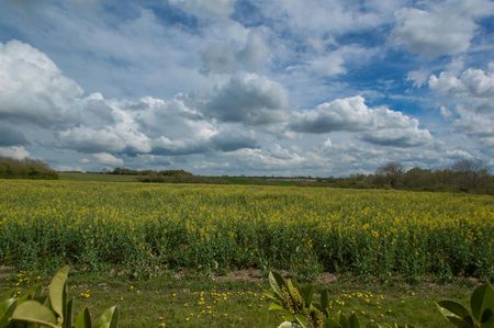 The Street, Great Wratting, Suffolk - Photo 4