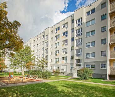 1-Zimmer Mietwohnung - Großzschachwitz - Photo 3