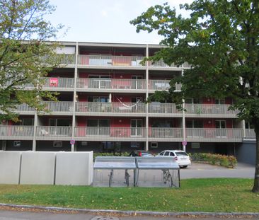 2.5 Zimmer, EG - Photo 3