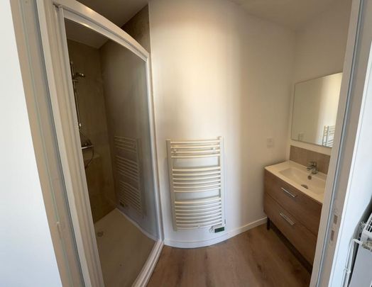 Location Appartement 1 pièce 22m² ANGERS 49000 - Photo 1