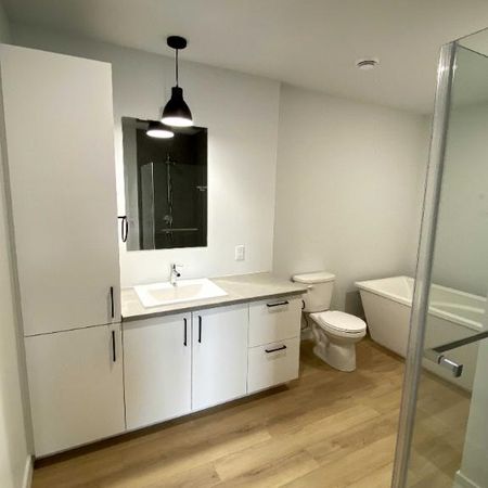 *Magnifique 5 1/2 et 4 1/2 + complétement neuf et moderne* - Photo 4