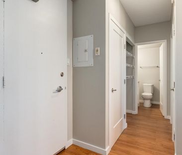 Renovated Suite - 1 Bedroom - Photo 2