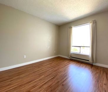 Cozy Spacious 2 Bedroom Apartment Available from March - Photo 2