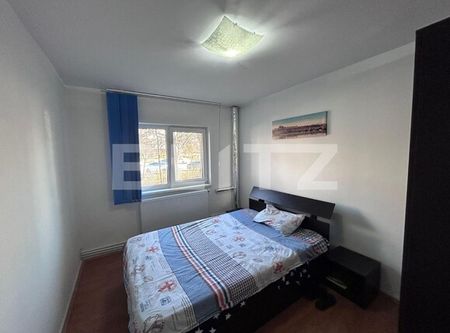 Apartament cu 3 camere,67 mp utili, zona Lapus - Fotografie 3