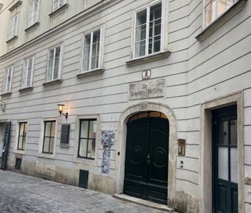 Möblierter Altbaujuwel im Herzen des 1.Bezirkes, charmante 40m² Gar... - Foto 5