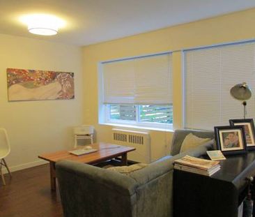 Studio apartment in quiet green west-side neighbourhood - Photo 3