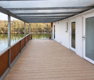 Rheinblick! Modernisierte 2,5-Zimmer-Wohnung mit großer Terrasse - Photo 2