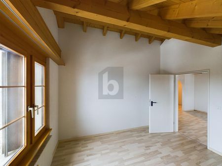 STUNNING VIEW OF THE APPENZELLER LAND - Photo 2