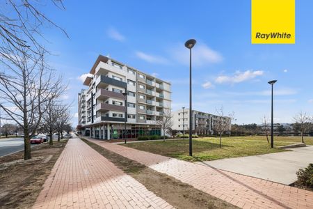 12/17 Limburg Way, Greenway ACT 2900 - Apartment For Rent | Domain - Photo 4