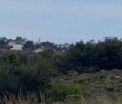 Μονοκατοικία 65 τ.μ. για ενοικίαση, Αθήνα - Ανατολικά Προάστια, Κορωπί - Photo 2