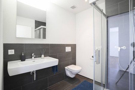 Schöne Attikawohnung mit zwei Terrassen - Photo 5