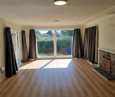 Ranui. All Dressed Up - Photo 4