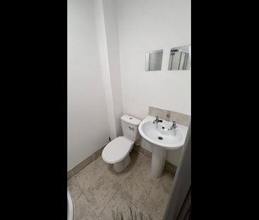 Room in a Shared Flat, Young Village, L5 - Photo 4