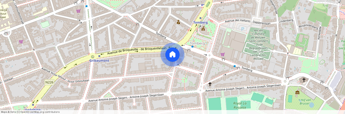 Avenue Henri Pauwels 4, Woluwe-Saint-Lambert