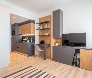 City Pop - Cosy Studio Apartments in Basel, next to the train station - Photo 3