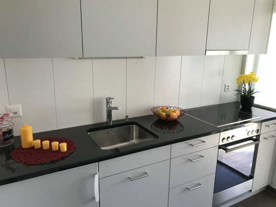 SPACIEUX LOGEMENT RENOVE RECEMMENT - Foto 1