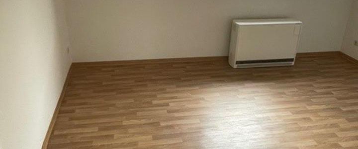 Nur 100 m bis zum Elbstrand: großzügig 4-Zimmer-Wohnung mit Balkon in Schnackenburg/E.-von privat- - Foto 1