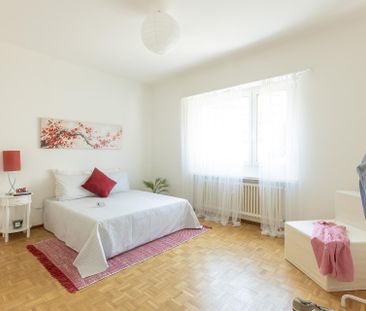 Massagno, tutto a portata di mano: splendido 3.5 locali rinnovato - Photo 4