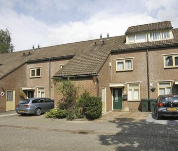 Tapijtschelp 35 Diemen - Foto 1