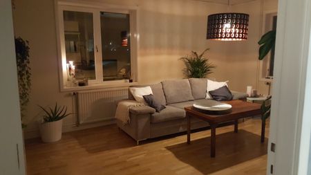 Östra Esplanaden, Åseda - Photo 2