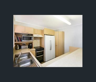 BIG YARD, HUGE TIMBER DECK, LOTS OF LOCK-UP STORAGE - Photo 5