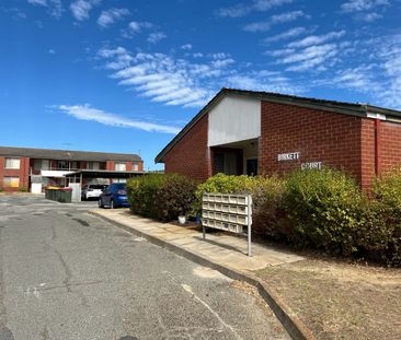 Freshly Painted and New Carpets! - Photo 6