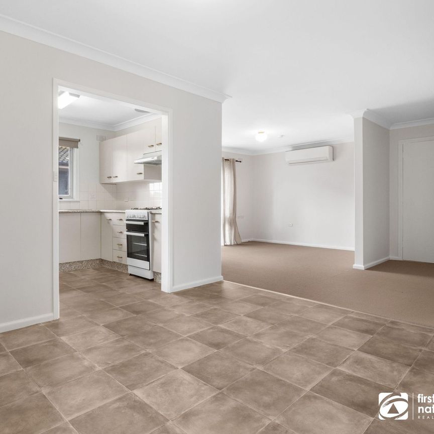 Fresh Carpet & Paint - Photo 1