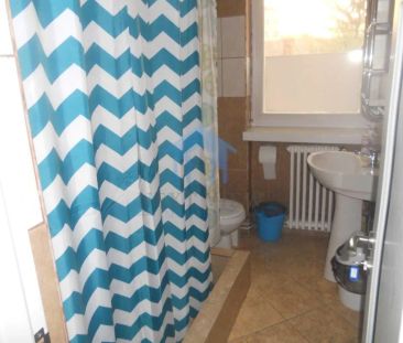 Apartament 1 camera, Horea - Photo 4