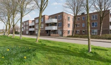Kreekwaard 1824 Alkmaar - Foto 2