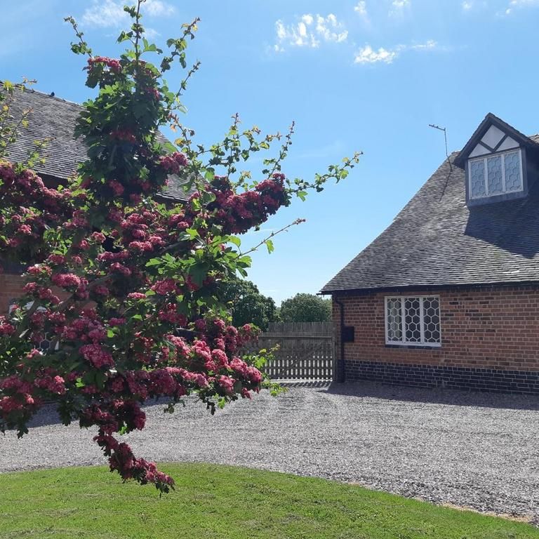 2 bedroom semi-detached house to rent - Photo 1