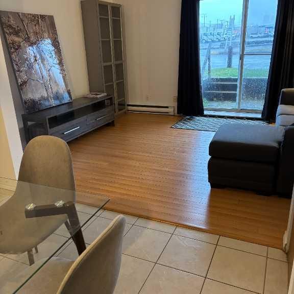 3 ½ très ensoleillé (DÉCEMBRE/Janvier) - Photo 1