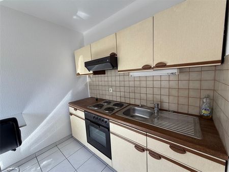 Location Appartement 2 pièces 45m² ST LOUIS 68300 - Photo 4