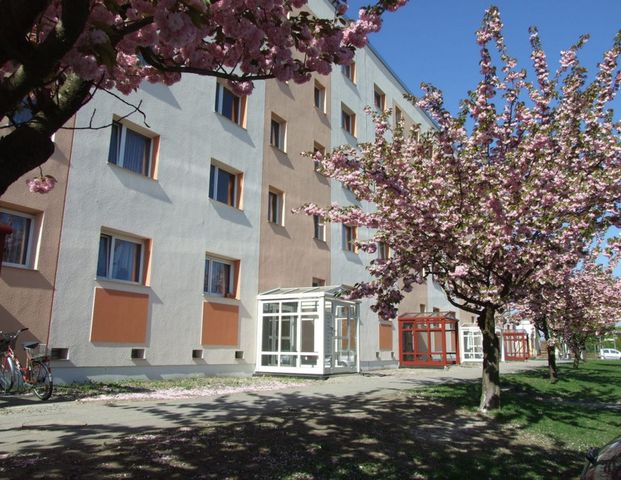 1 Raum-Wohnung mit verglastem Balkon - Photo 1