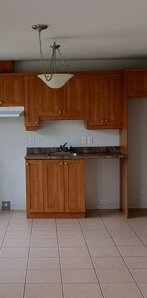 Le 1420 Desaulniers, St-Hyacinthe - Photo 1