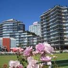 Executive Condo in Downtown Victoria - Steps from the Inner Harbour! - Photo 3