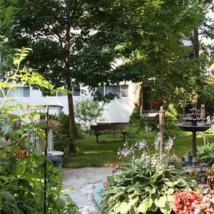 Superbe 3½ – à Charlesbourg - Photo 3