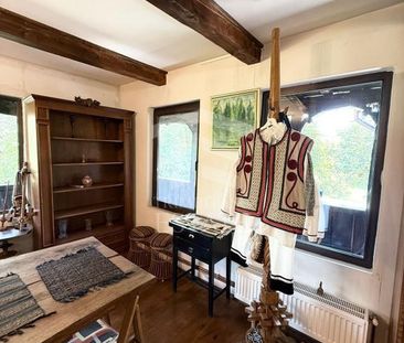 Casa autentica maramureseana de vanzare in Snagov-Tancabesti - Photo 6