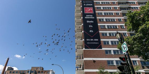 Le Plateau - 3605 St-Urbain - 1 Bedroom - 3605 Rue Saint-Urbain, Montréal - Photo 3