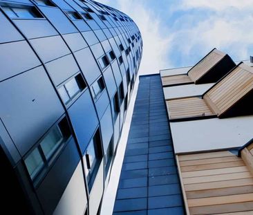 Tower Studio Bronze Plus - Photo 6